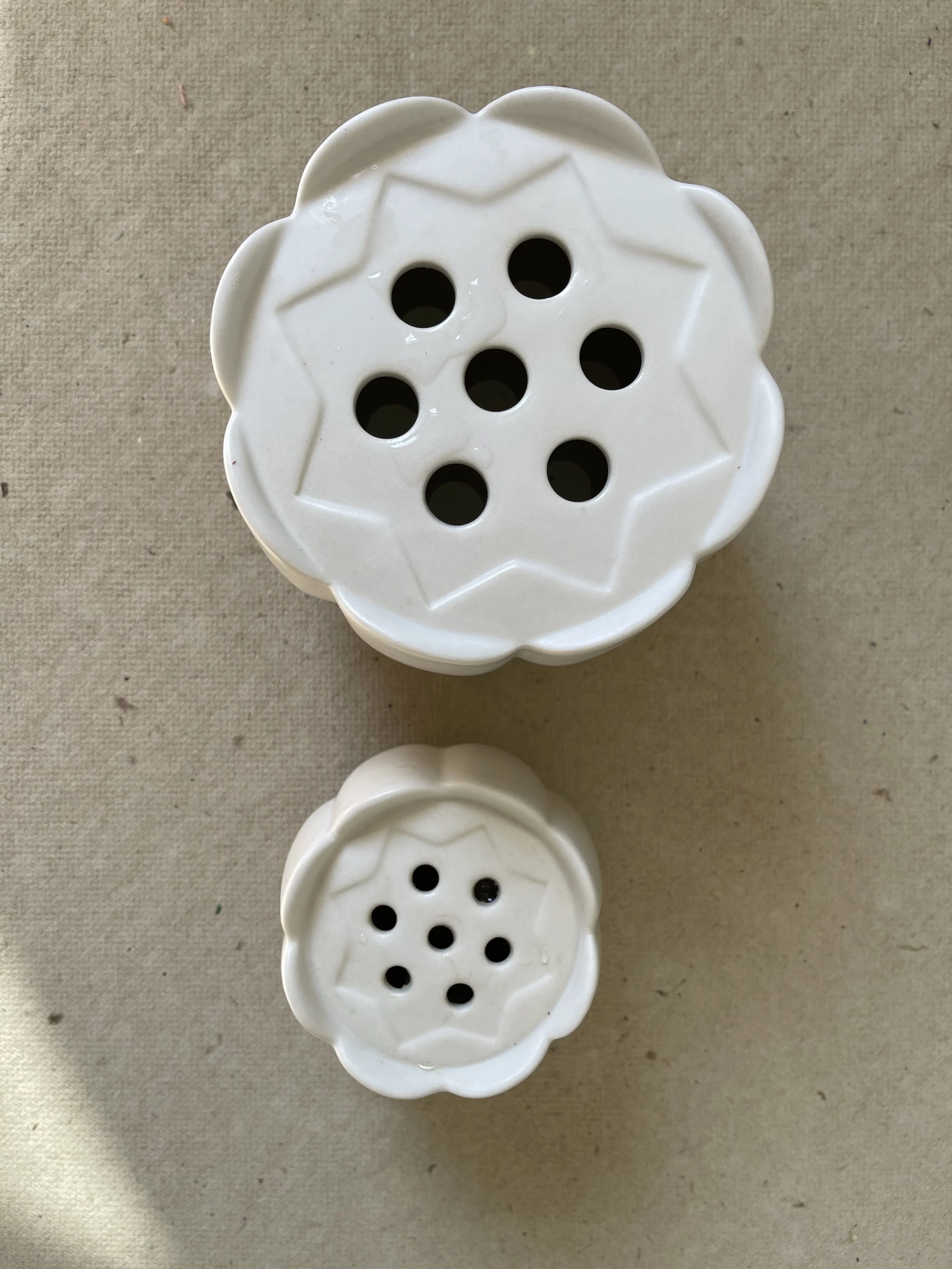 Frog vses top view .jpg