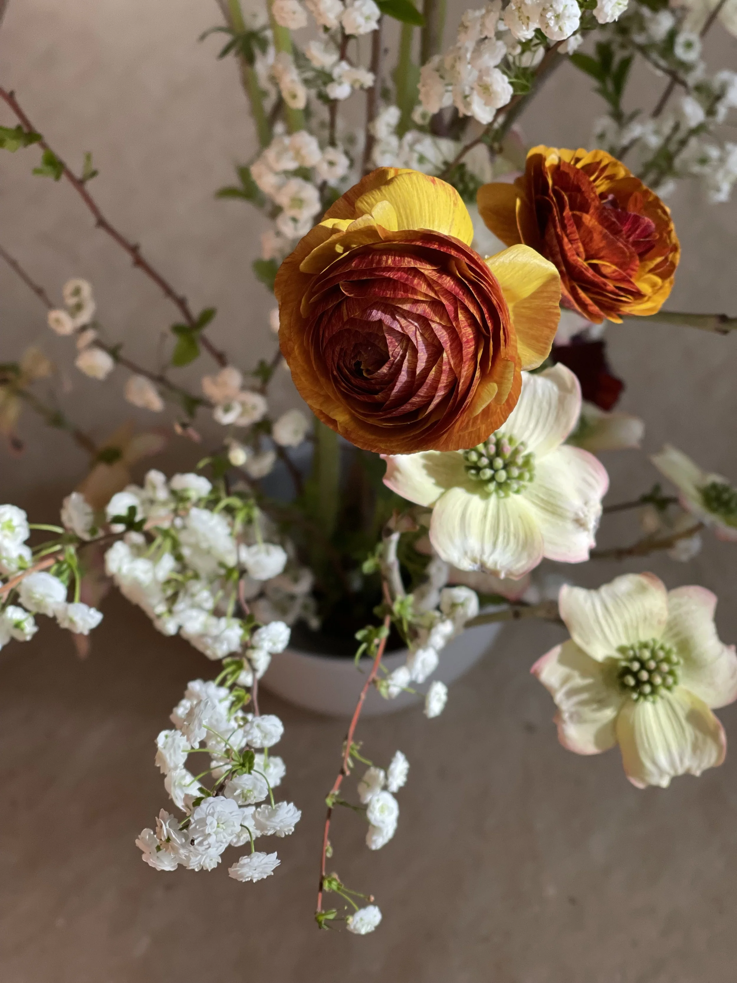 Close-up of a floral arrangement with orange ranunculus, white dogwood, and cream-colored hellebores in a pot.