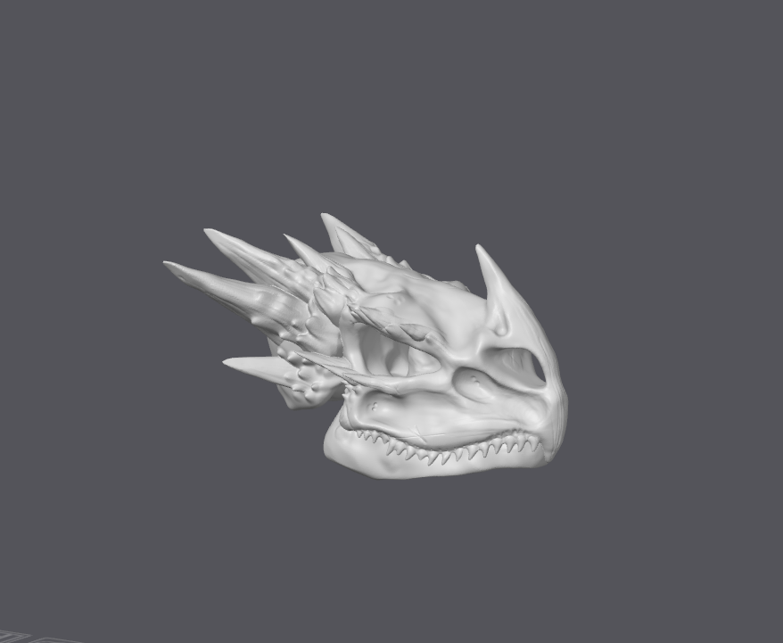 Dragon Skull