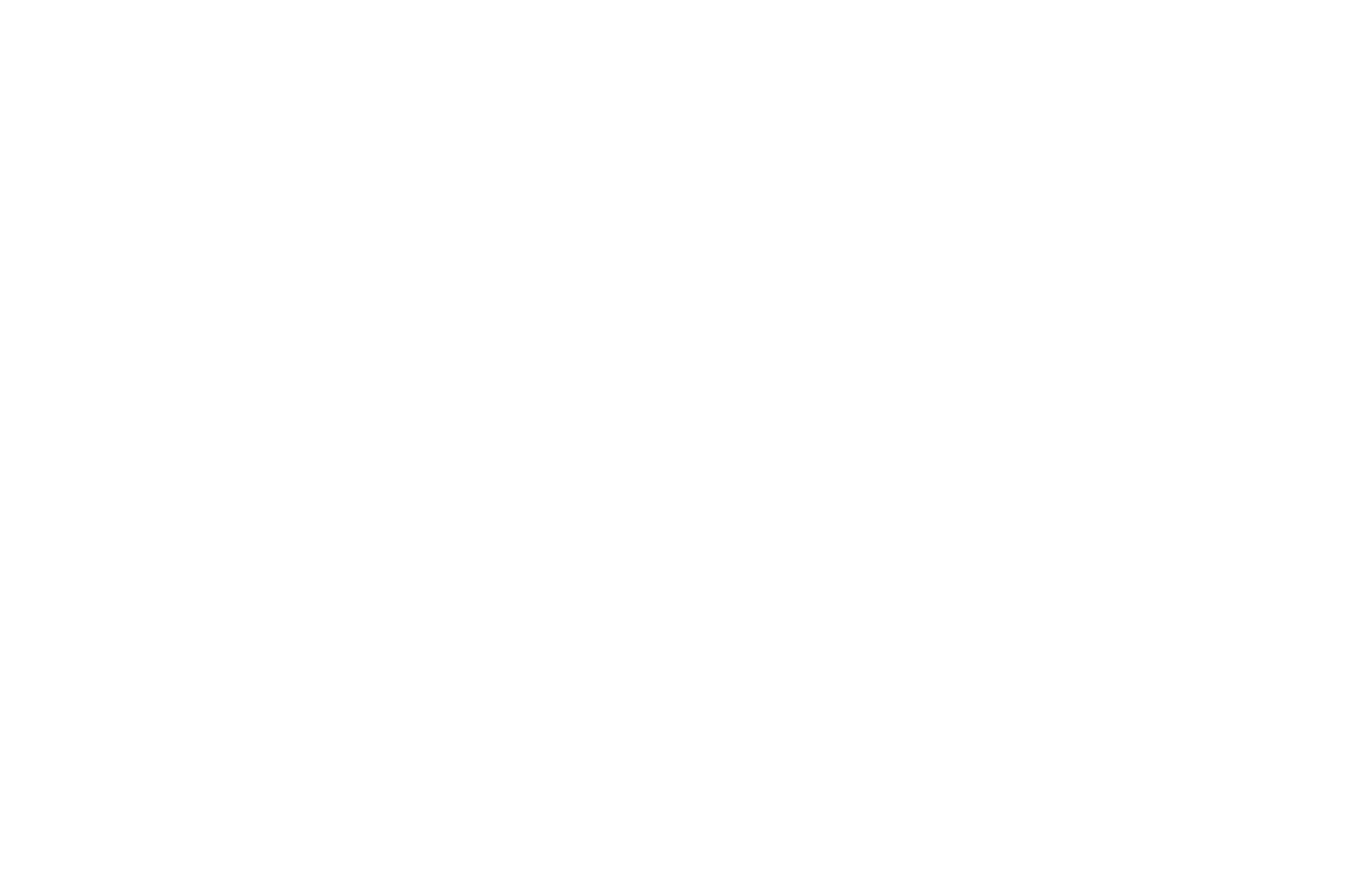 Zen Aerial Media