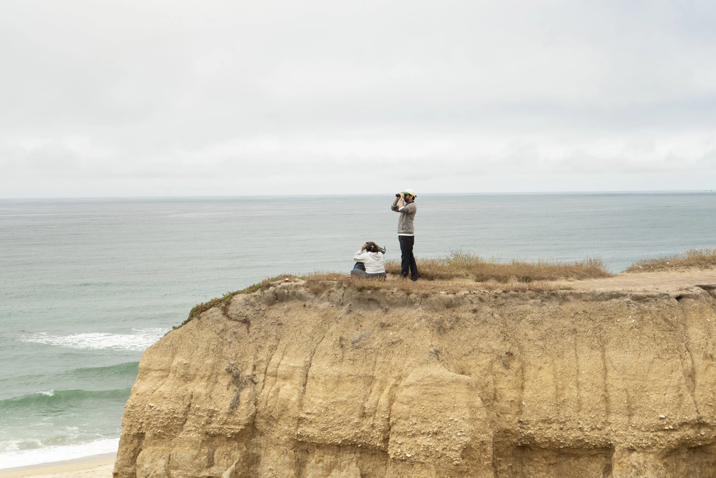 California Coastline