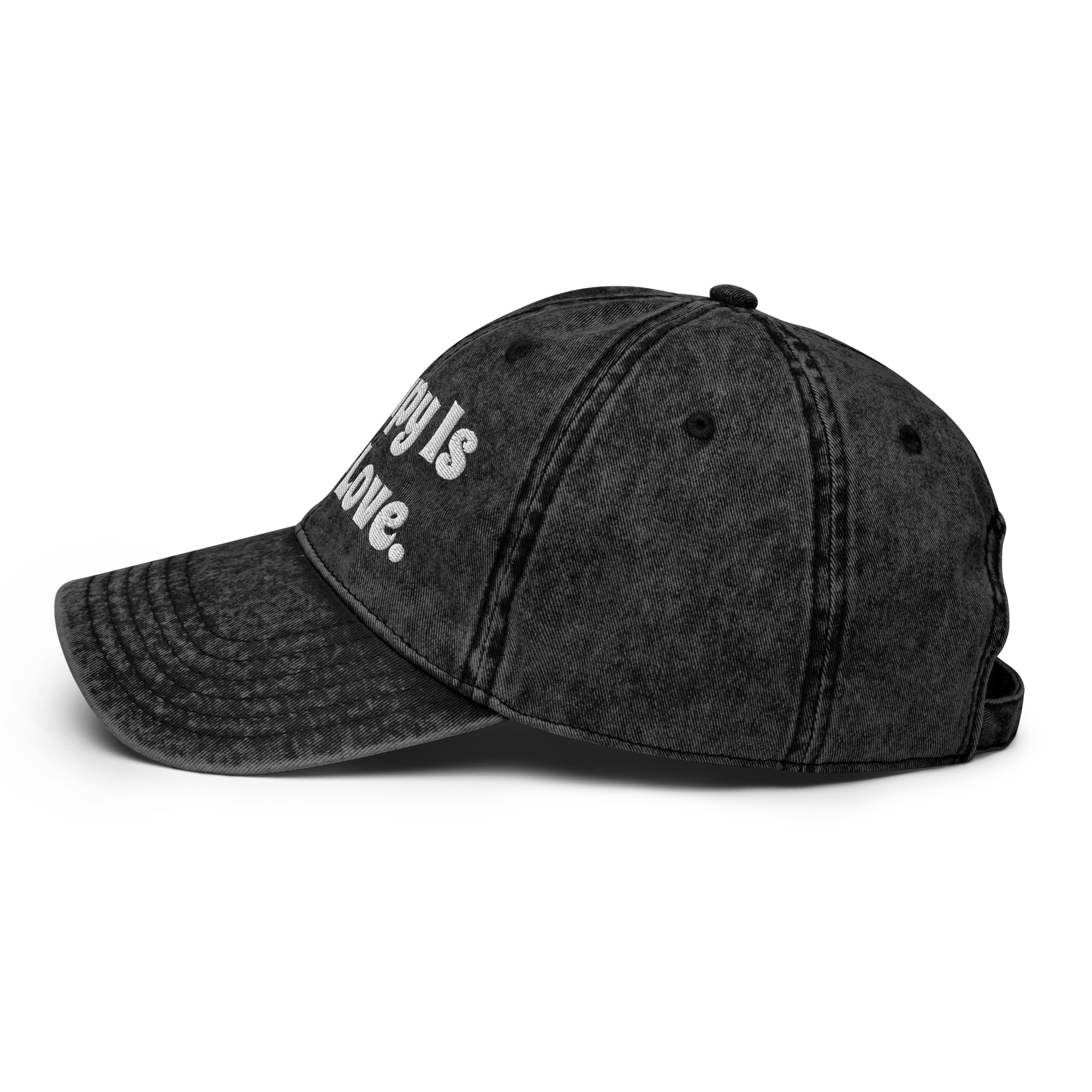 vintage-cap-black-left-699cc41629e4f.png