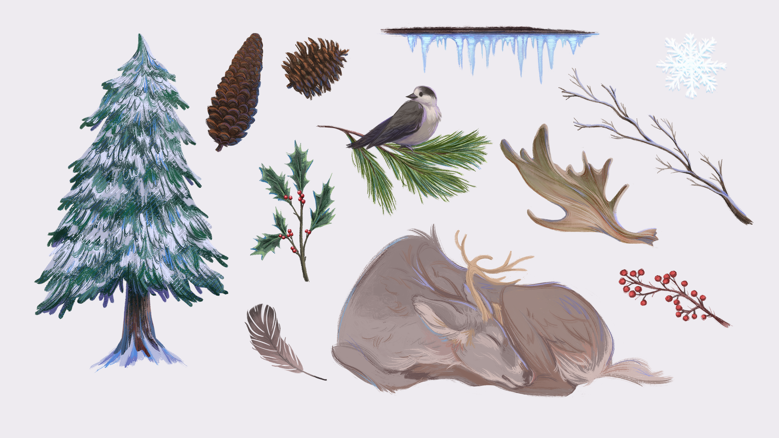 12 environment items.png