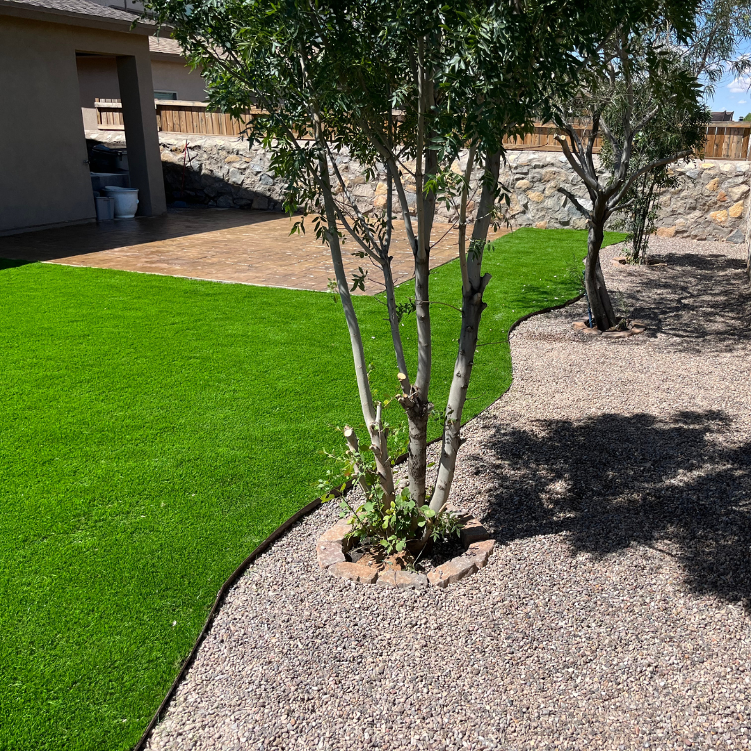 Backyard with a tree surrounded by small rocks, a patch of lush green grass, a paved patio area, and a stone wall in the background.