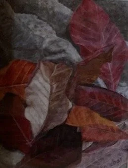 126e86a6-9970-4f9b-9177-6f10e5af5405 3.jpg