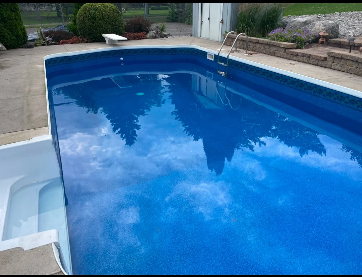 Empty backyard swimming pool with clear blue water, metal ladder, and surrounding garden with shrubs, flowers, and rocks.