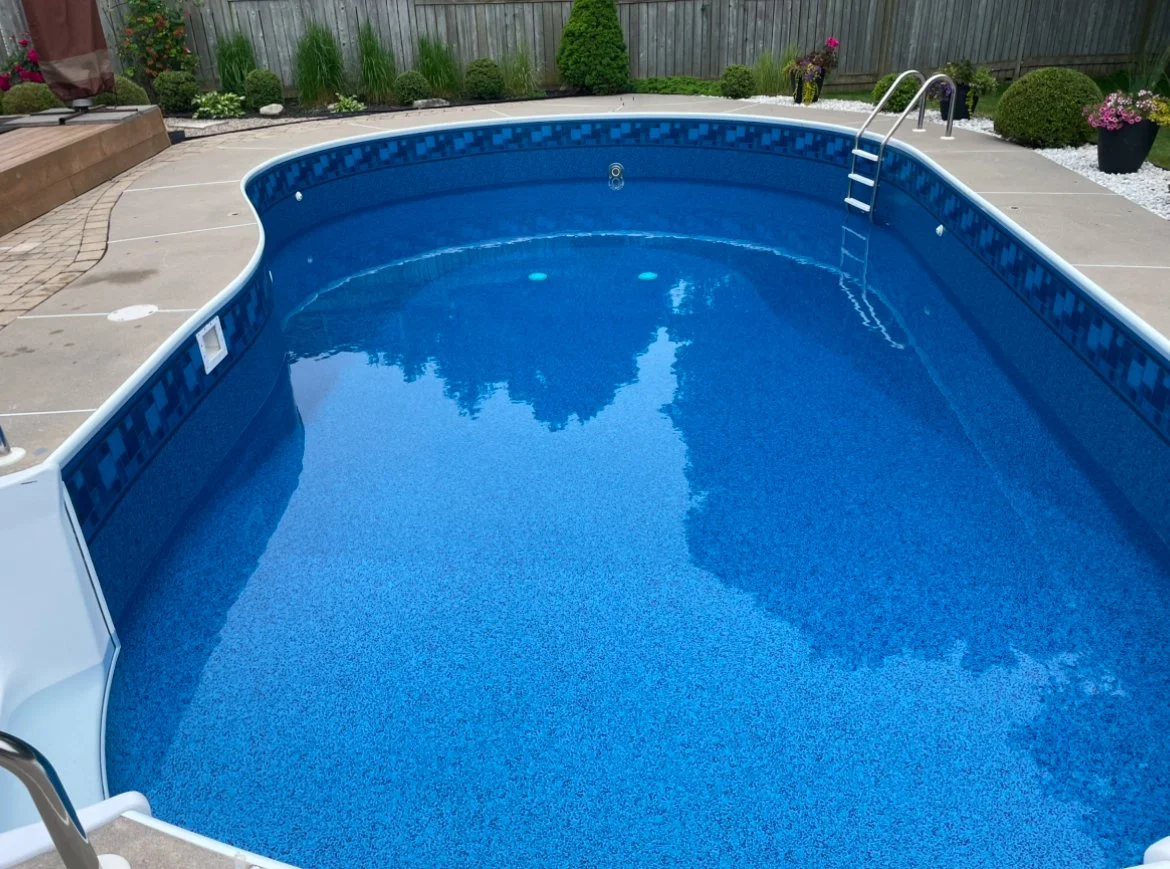 Empty backyard swimming pool with blue interior and a metal ladder, surrounded by a concrete deck and landscaped garden with bushes and flowers.