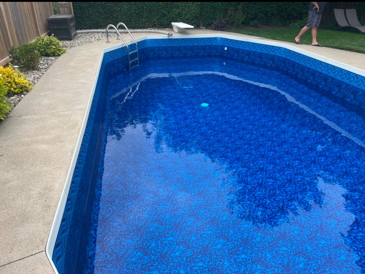 Empty blue swimming pool with a metal ladder, surrounded by a concrete deck and fenced yard with grass and plants.