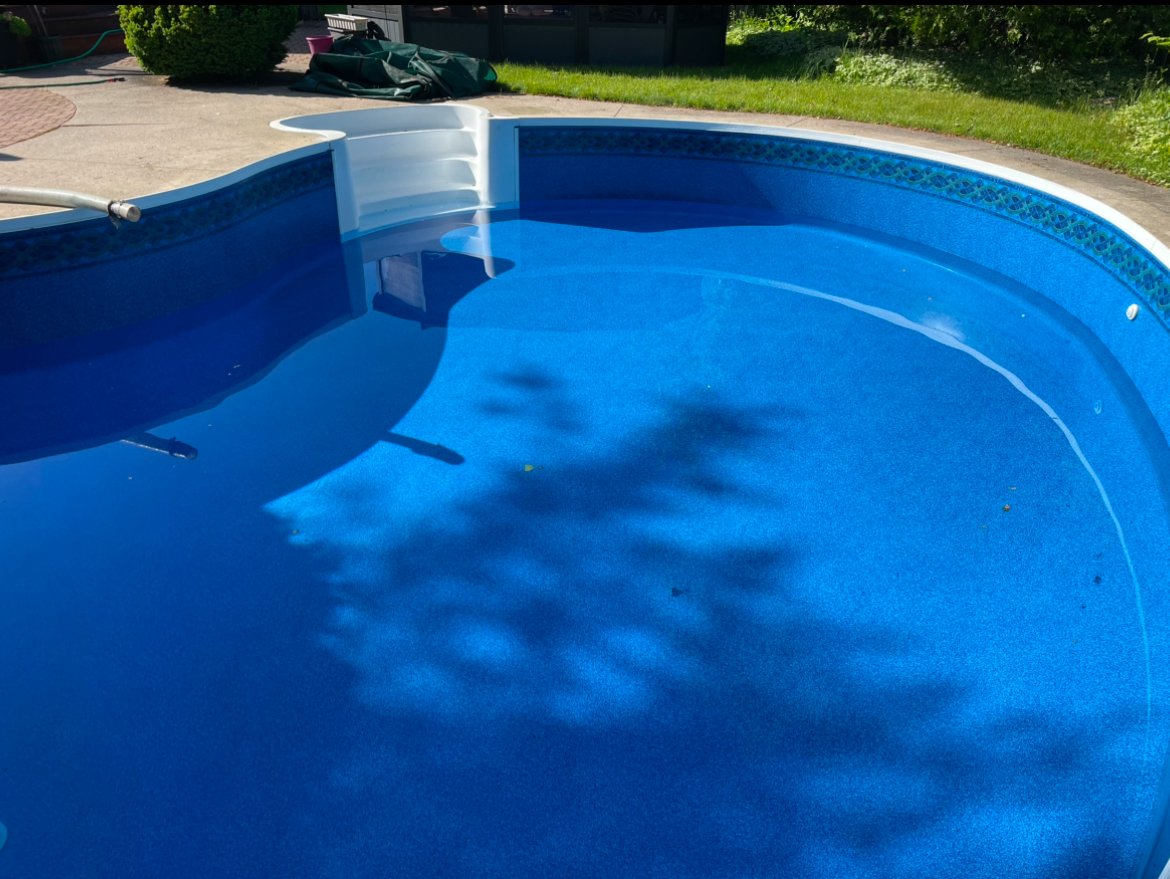 Empty in-ground swimming pool with a white set of steps leading into the water, and a pool cleaning pole resting on the edge, surrounded by a concrete deck and green grass.
