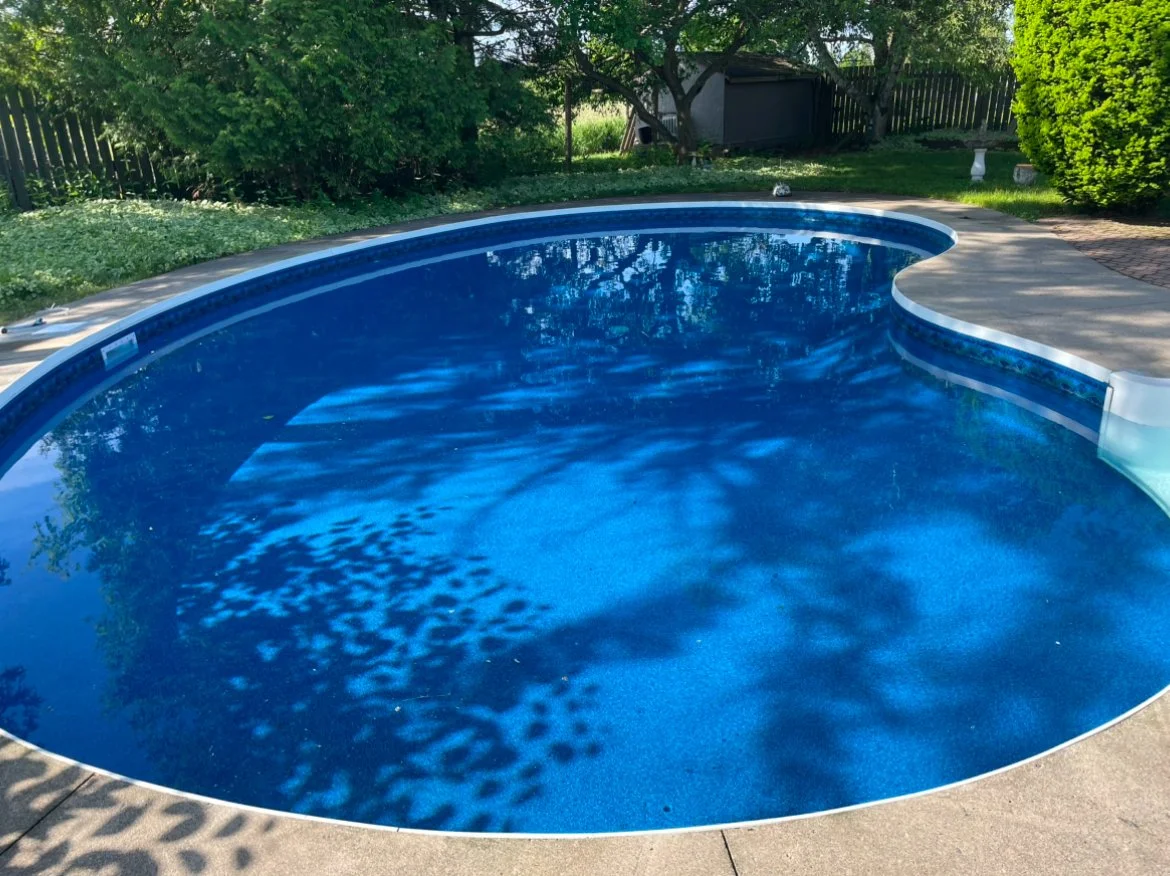 A backyard swimming pool with blue water, surrounded by a concrete deck, trees, and greenery.