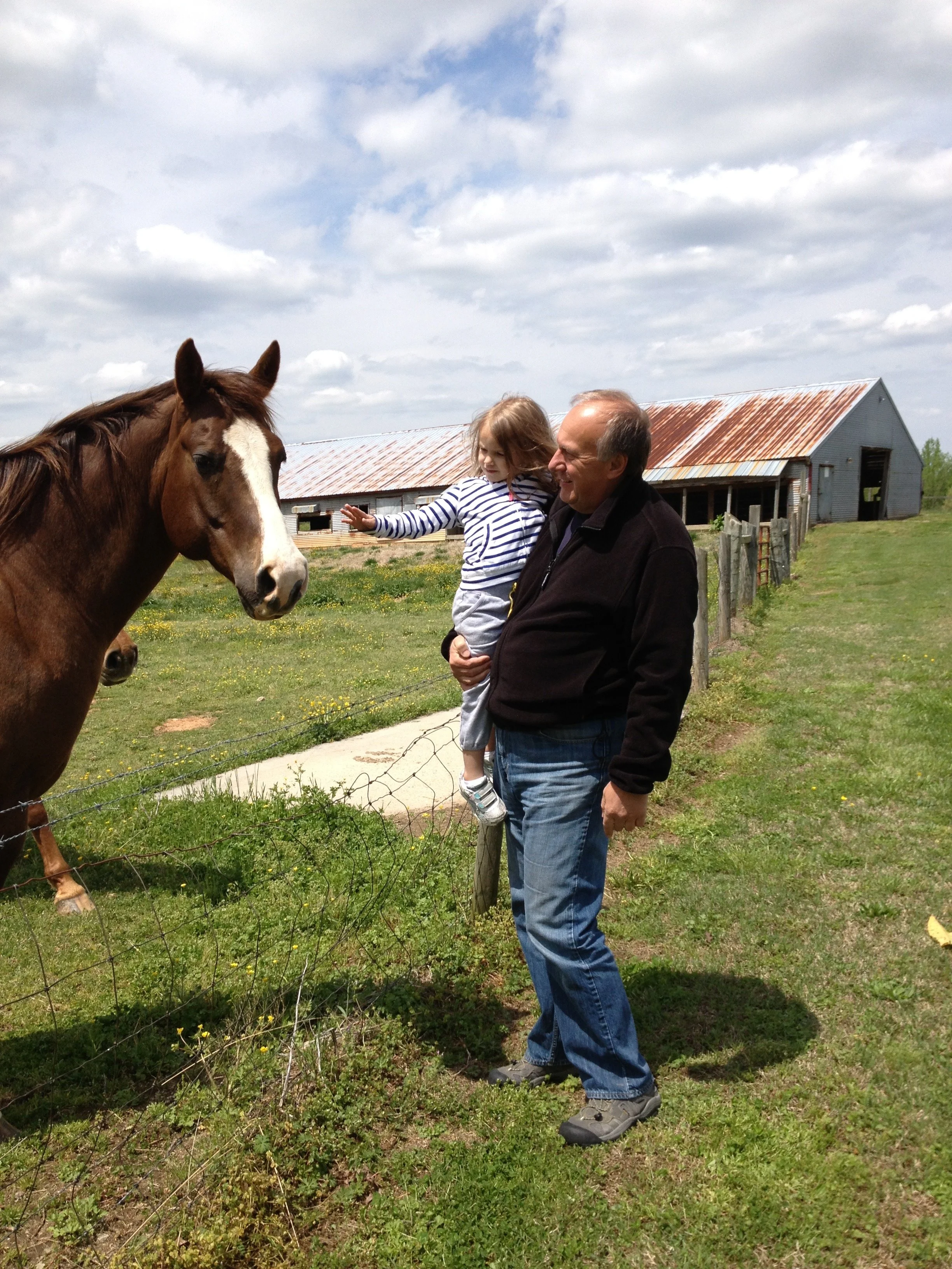 On The Farm