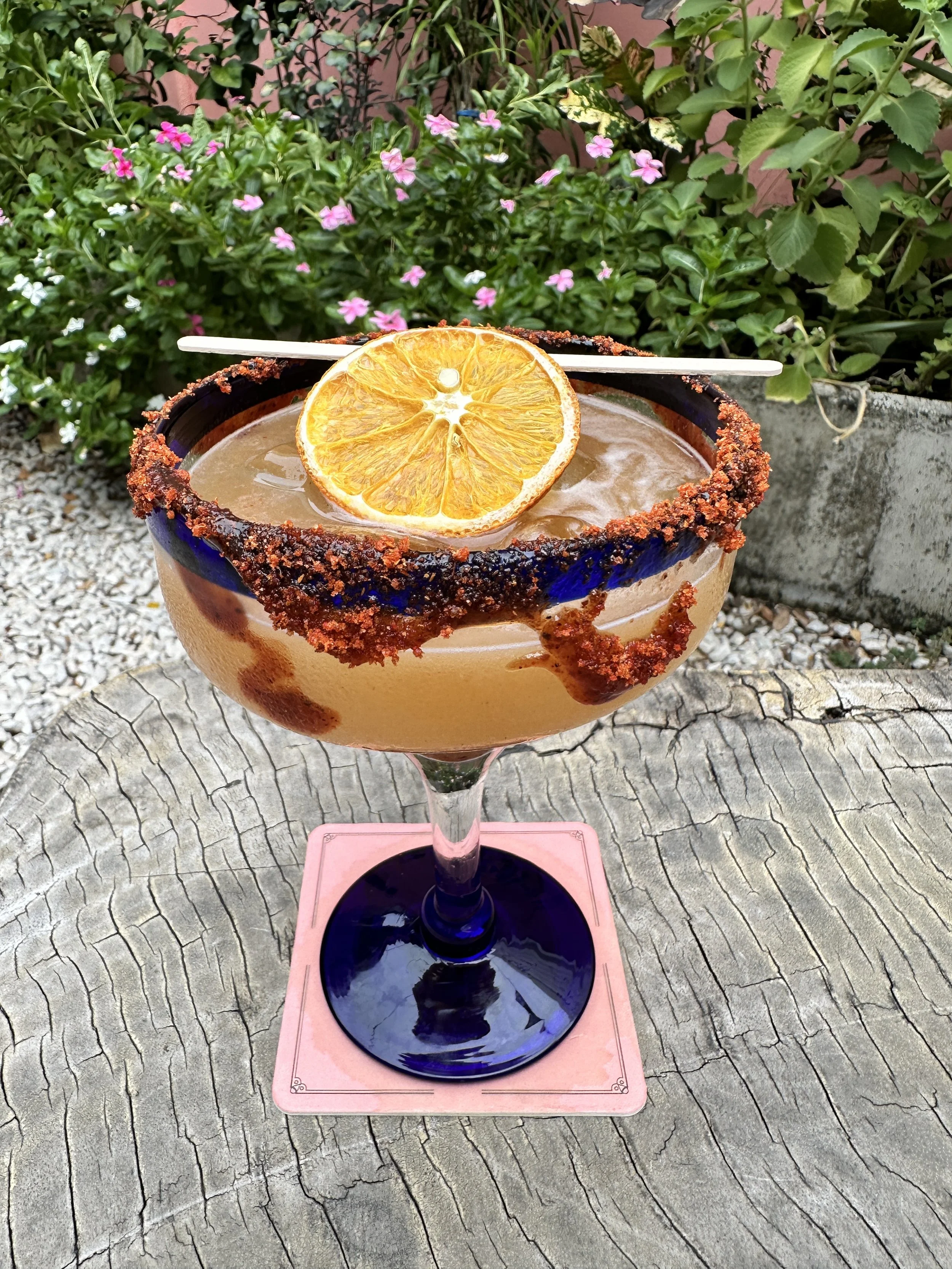 A cocktail glass with a salted rim, topped with a dried orange slice, sitting on a pink coaster placed on a textured wooden surface with garden plants in the background.