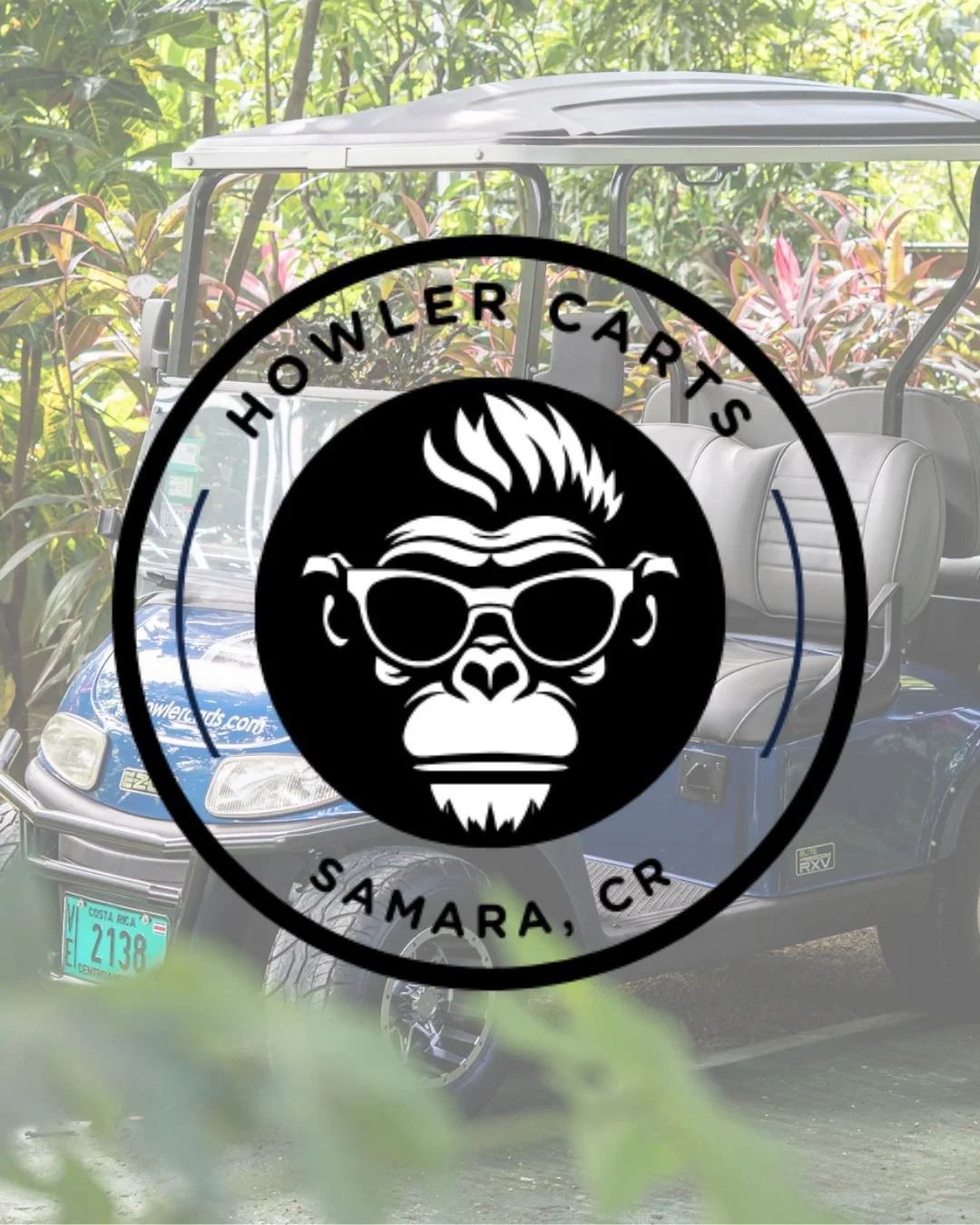 Howler Carts - golf cart rentals in Sámara, Costa Rica