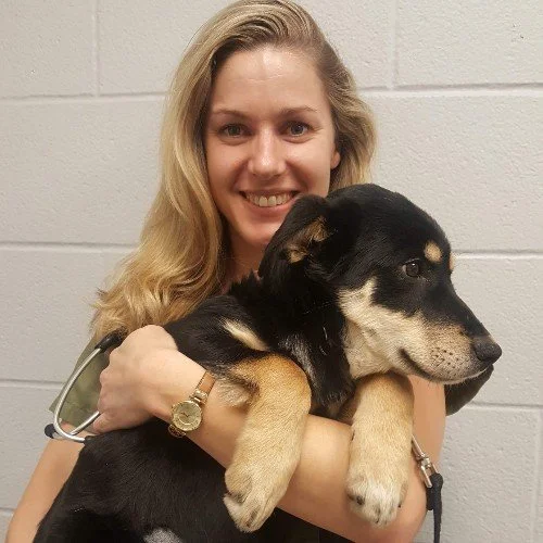 A woman smiling and holding a black and tan puppy in her arms against a white brick wall.