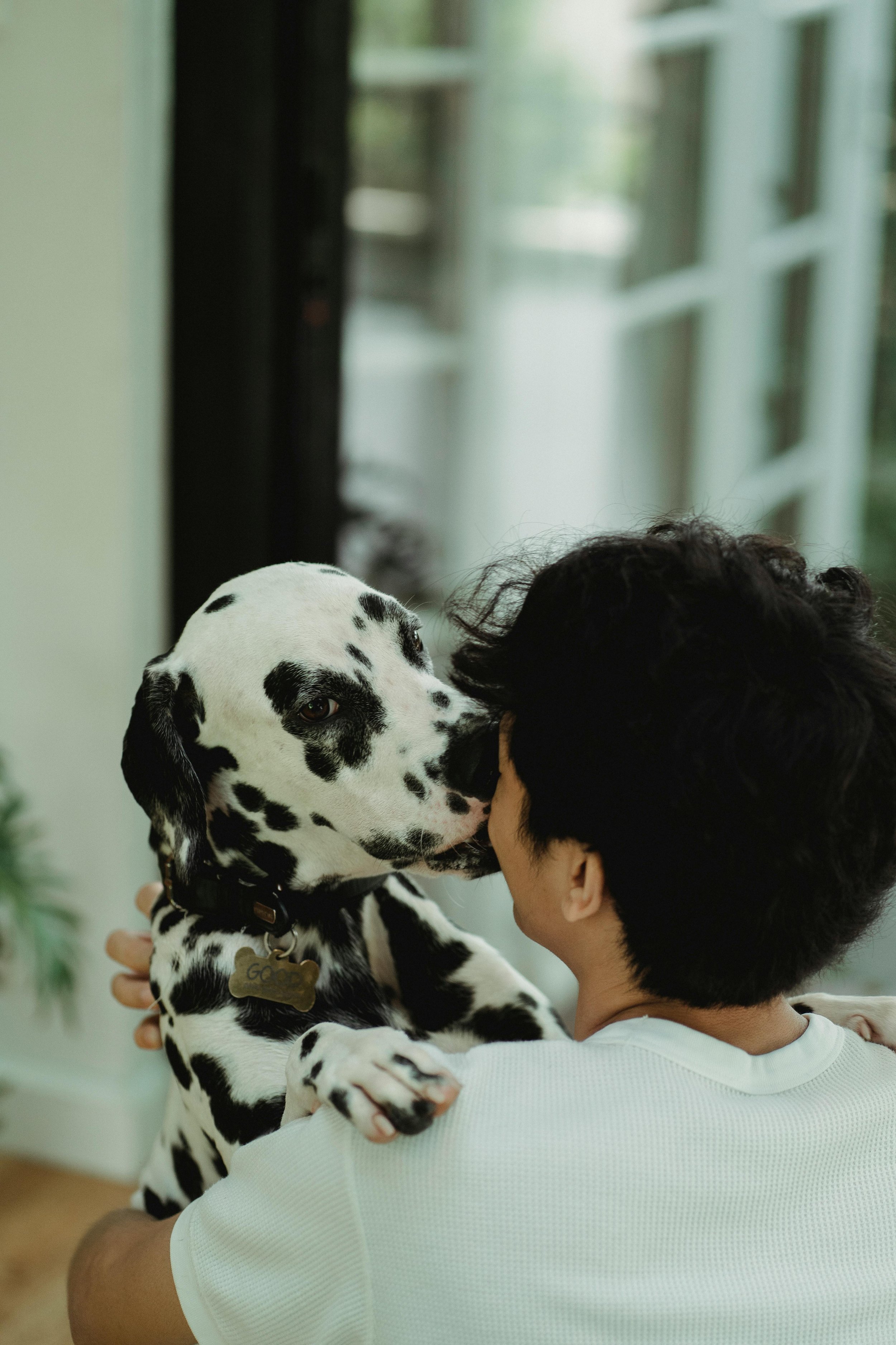 A young boy holding a Dalmatian puppy indoors, close to his face, with a blurred background.