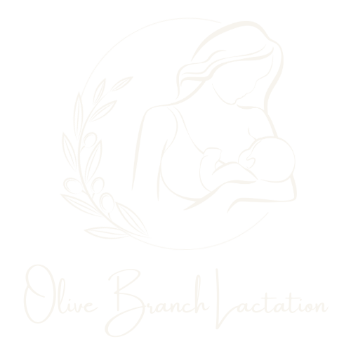 Olive Branch Lactation LLC
