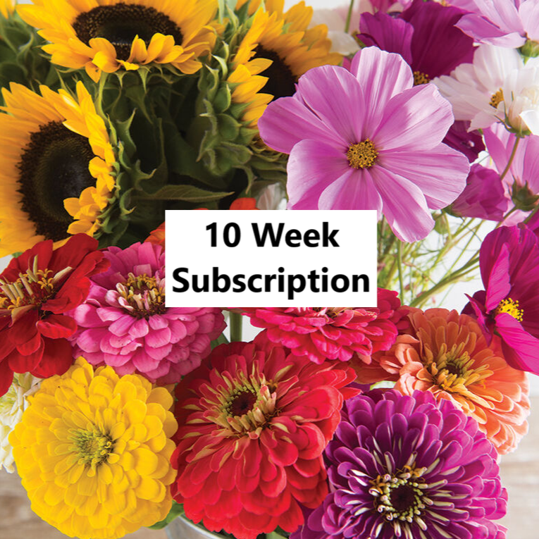 Large+Market+Bouquet+20-25+Stem+10+Week+Subscription.png