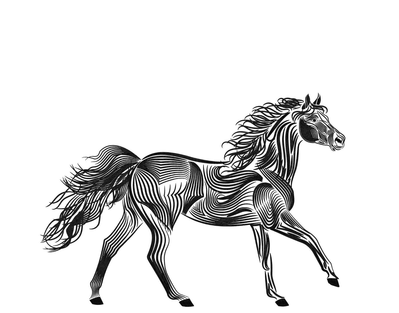 Outline drawing of a horse standing on the ground against a black background.