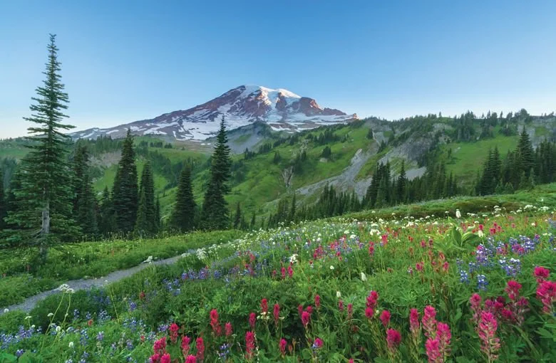 Stuttering Therapy in Washington State: What Parents Should Know