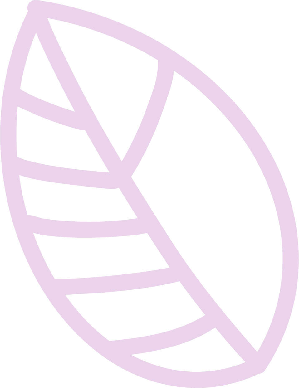 Outline drawing of a leaf with visible veins, in light purple color.