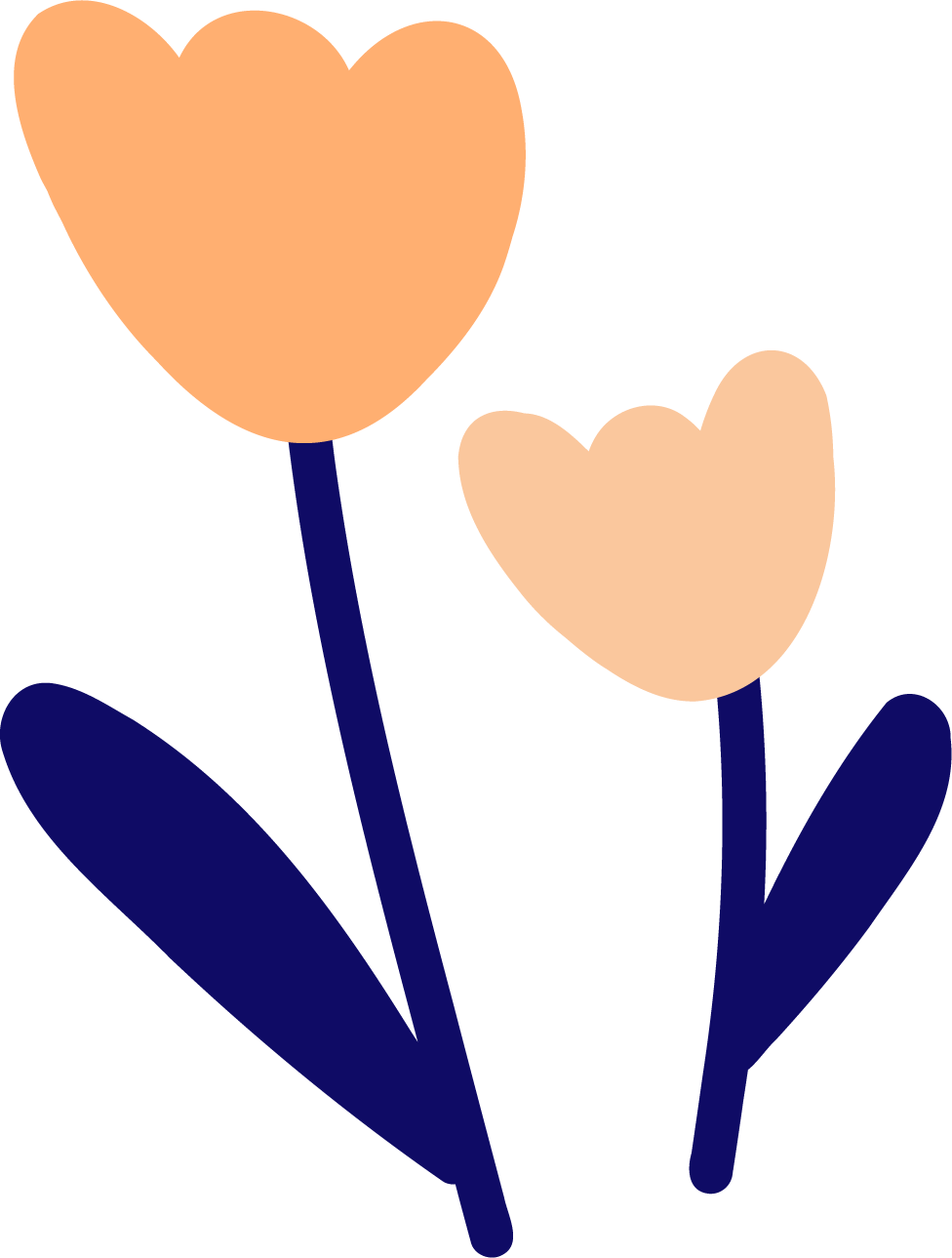 Digital illustration of two tulip flowers with orange petals and dark blue stems and leaves.
