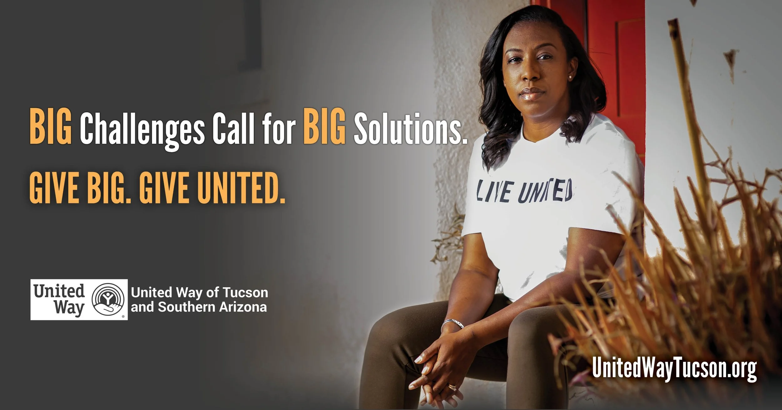 Arika - 1080x566 HSM.jpg