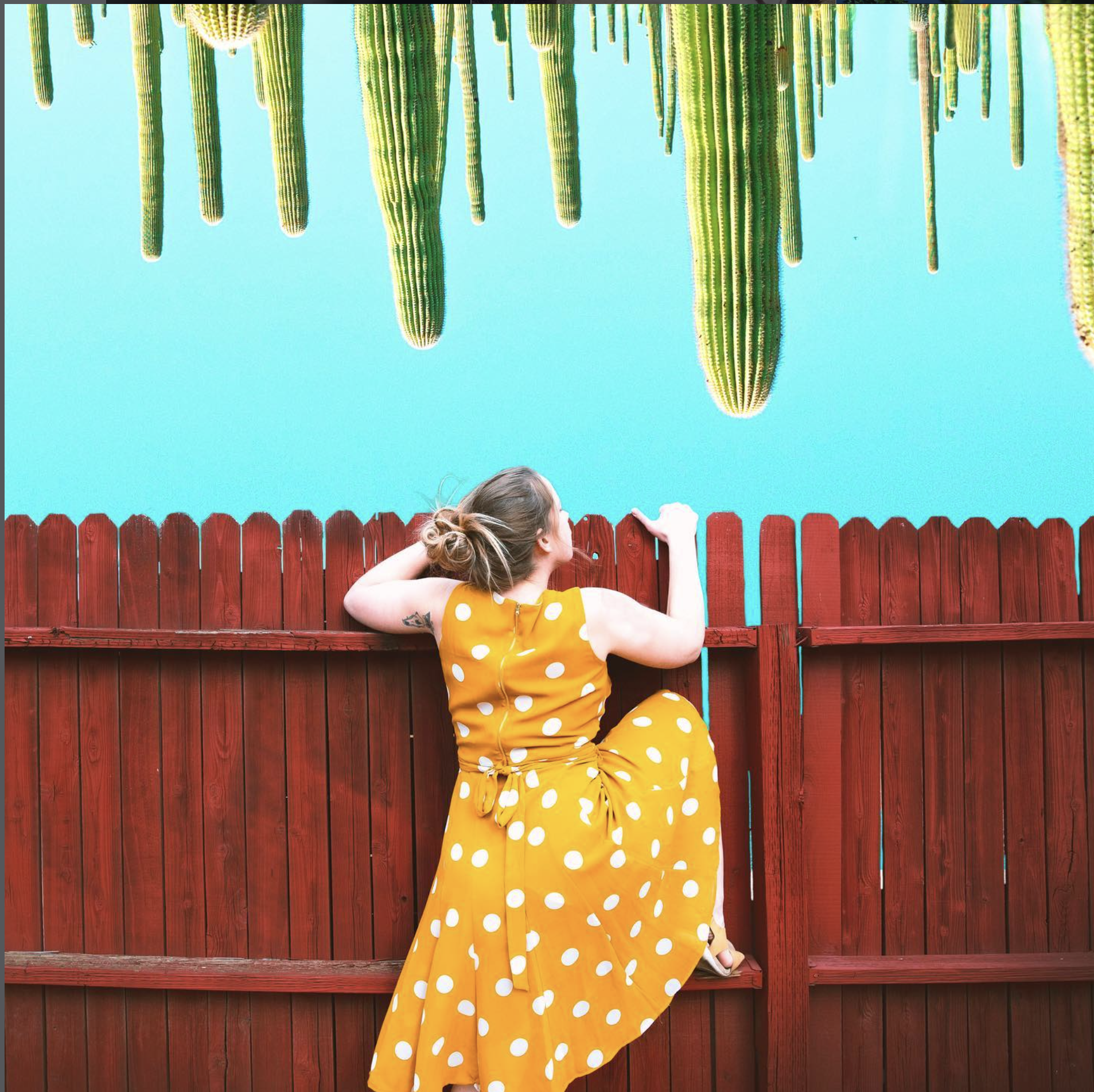 Composite Photography