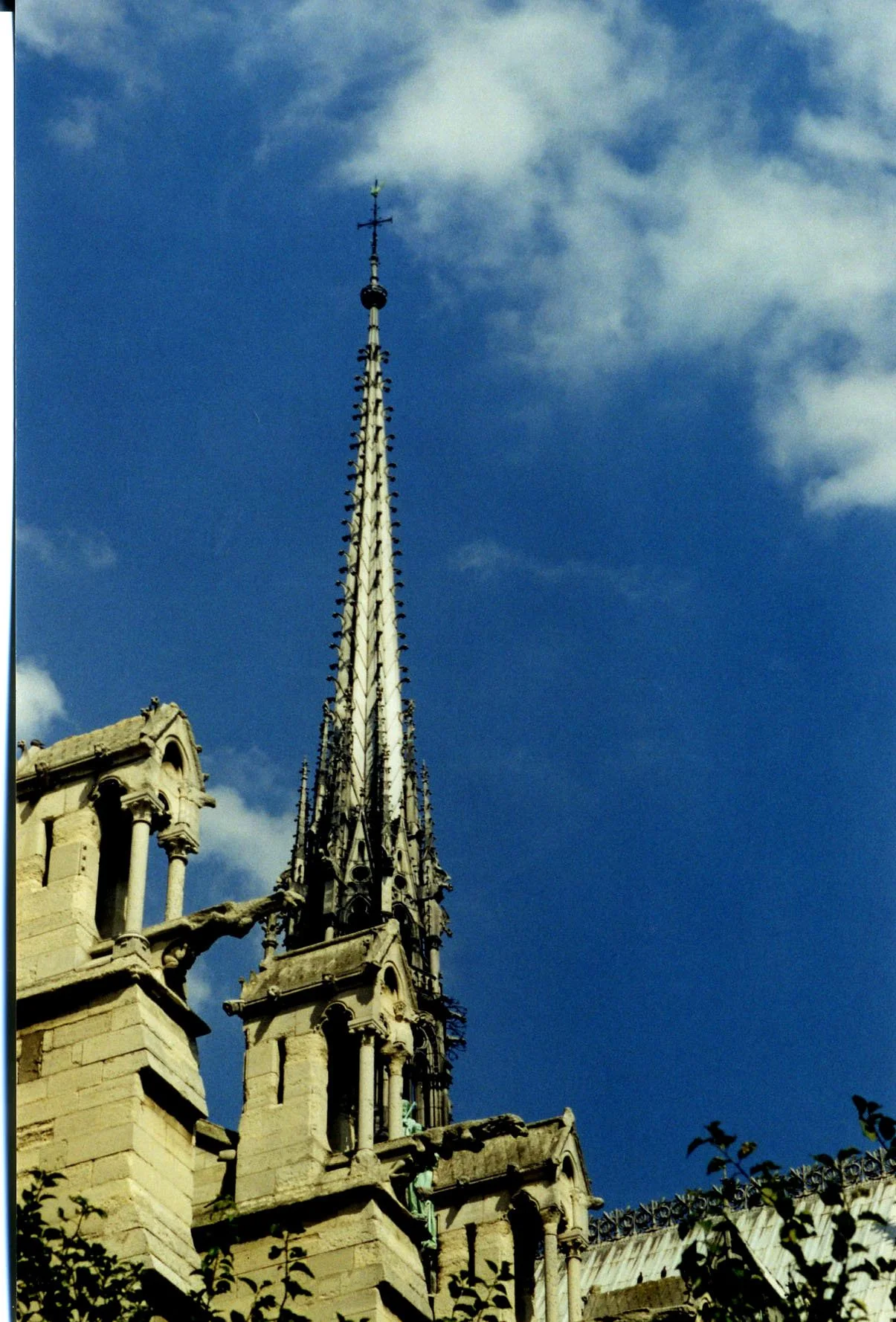 notre dame gargoyle.jpg