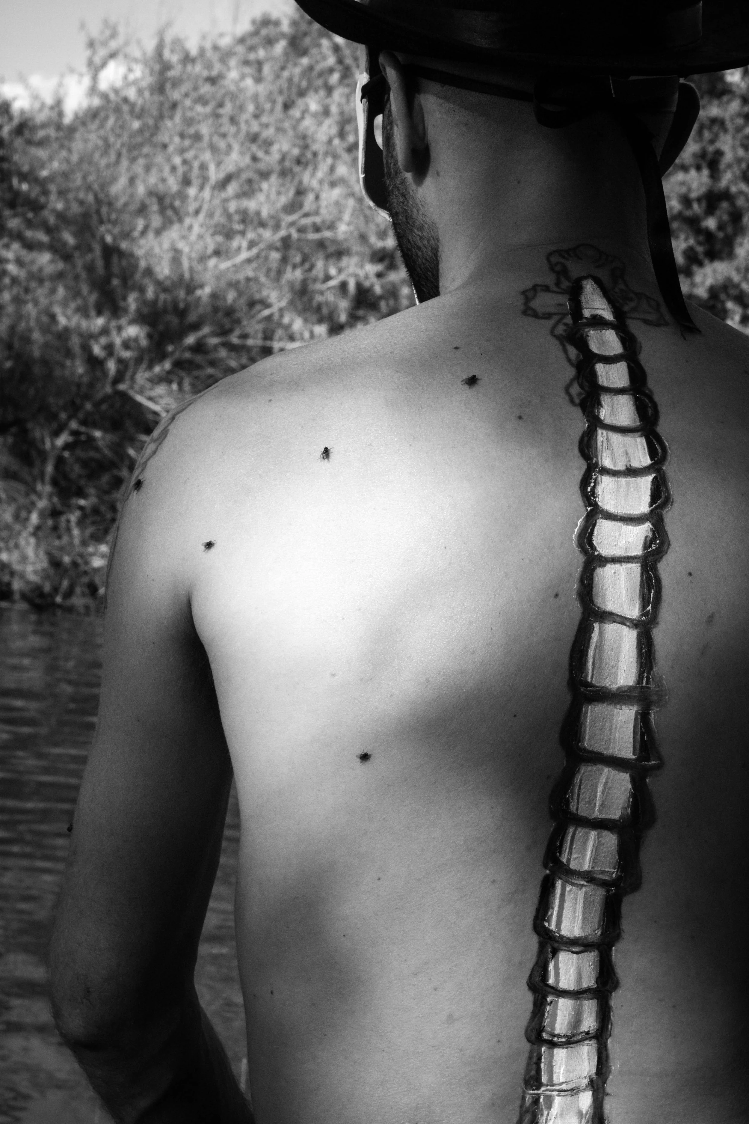 Image 7 - 11x17.3.jpg