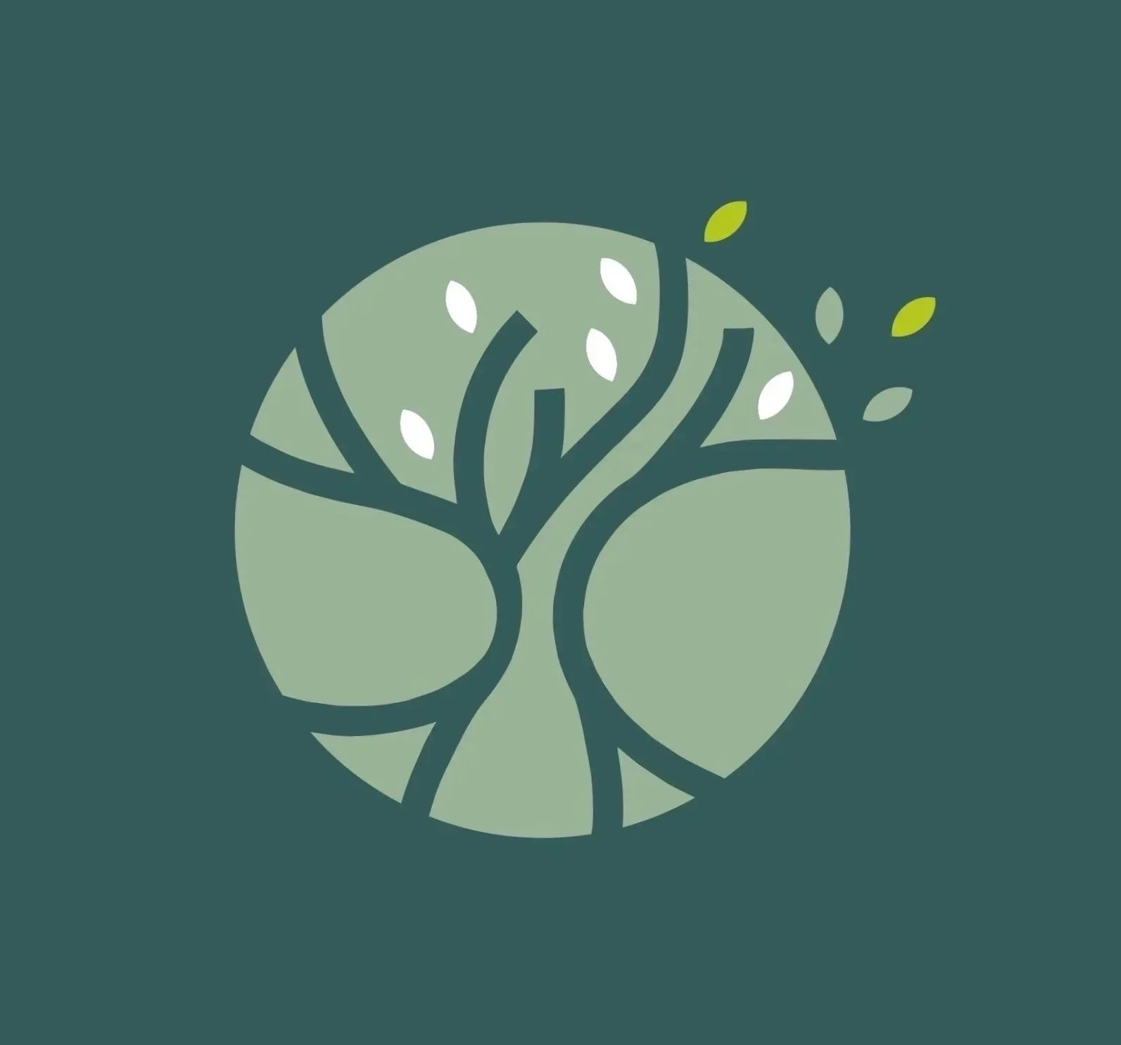 Roots and Branches Education