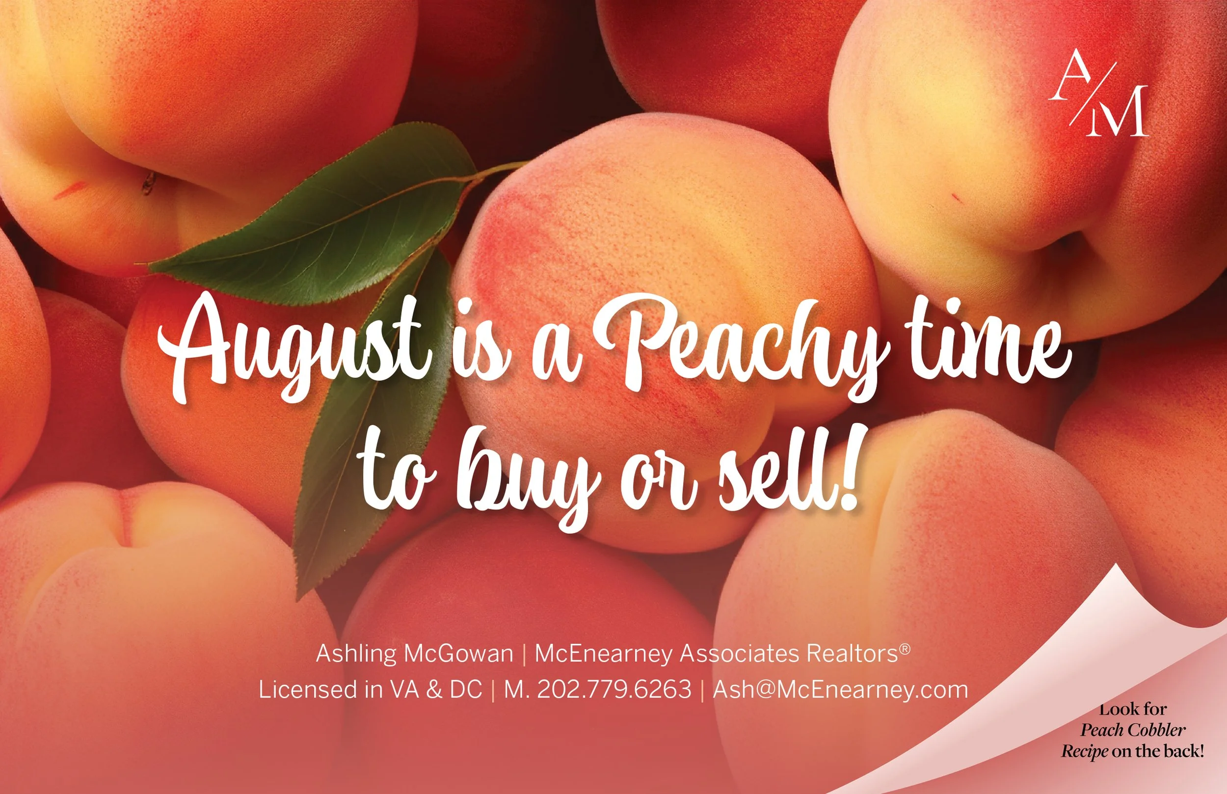 McGowan_2024 August_Postcard_Large-1.jpg