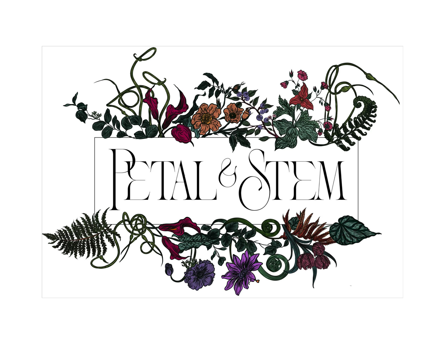 Petal &amp; Stem