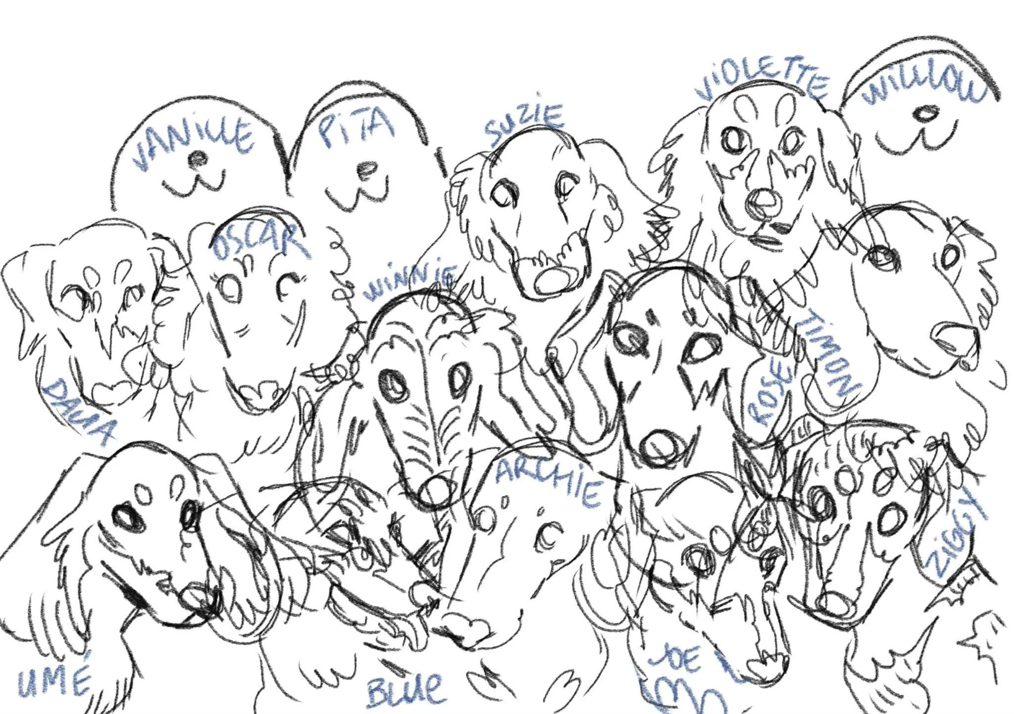 5d596527-b56d-4880-81a4-cd5758dfcc03.jfif