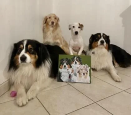 Shamrock, Vasco, Tommy, Tya.jfif