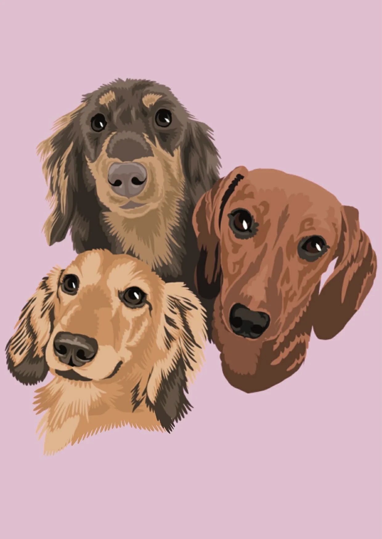 PORTRAIT numérique A5 (3 animaux)