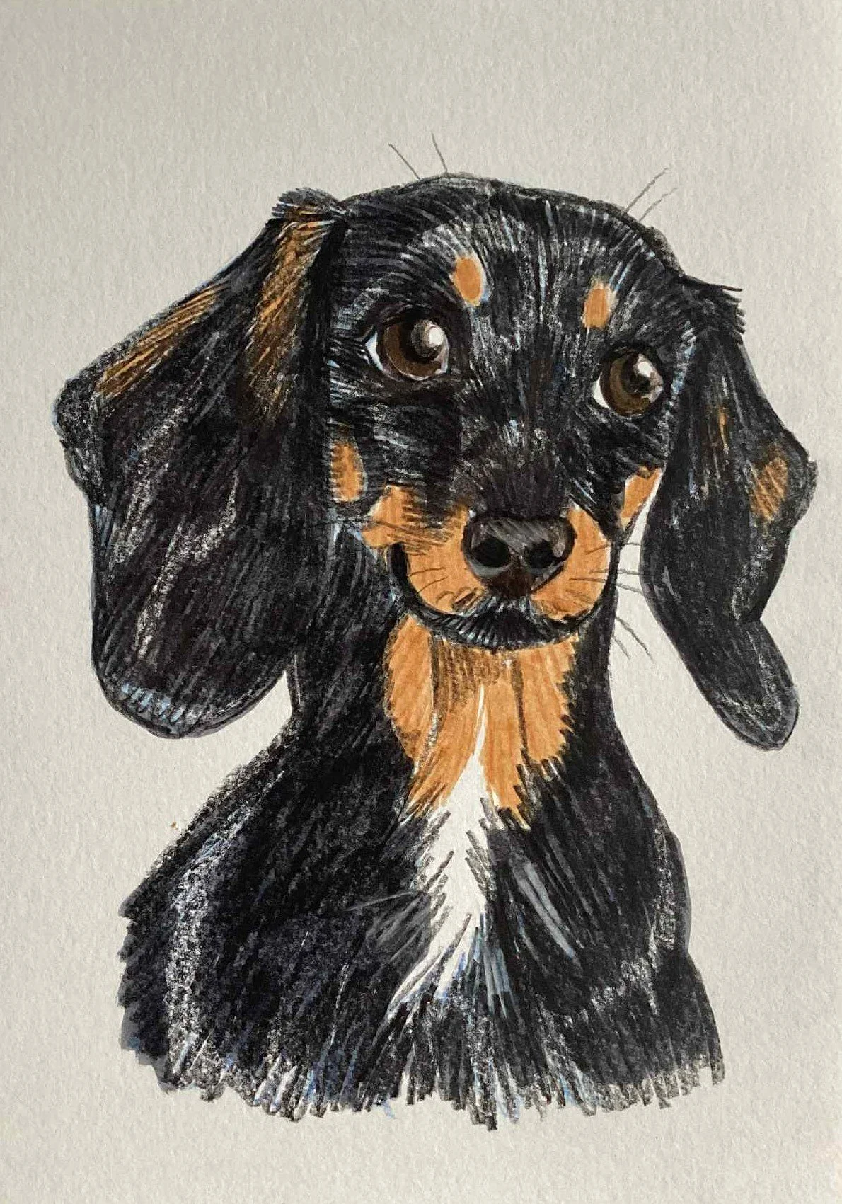 PORTRAIT crayons & feutres A5 (1 animal)