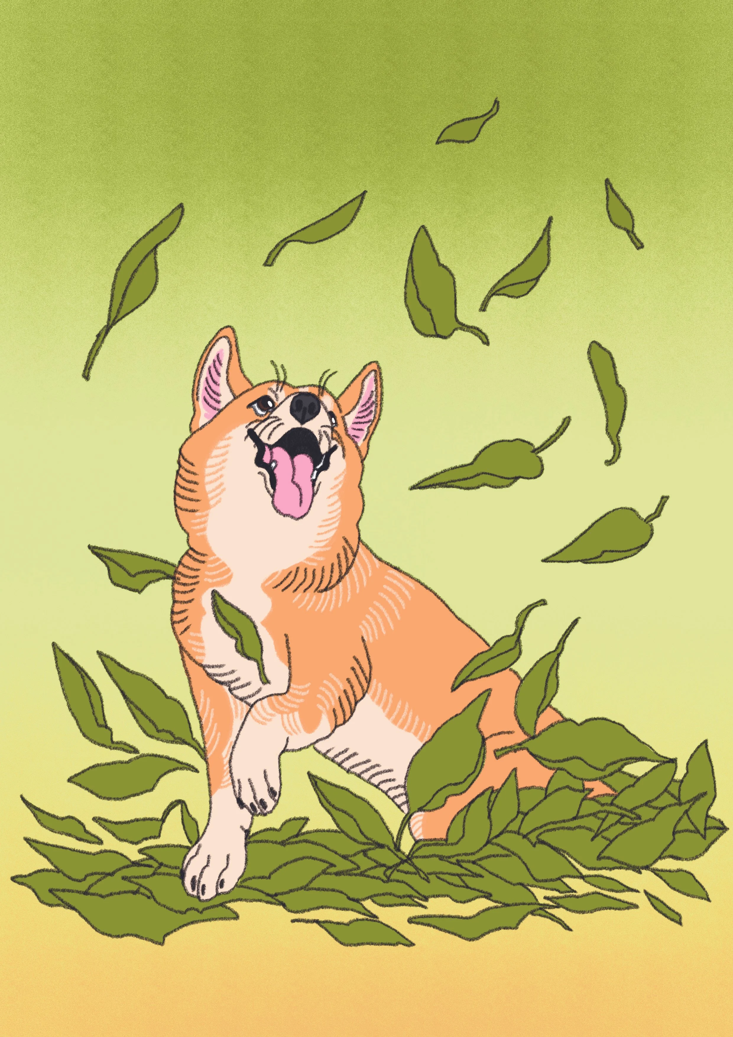 PRINT A4 corgi