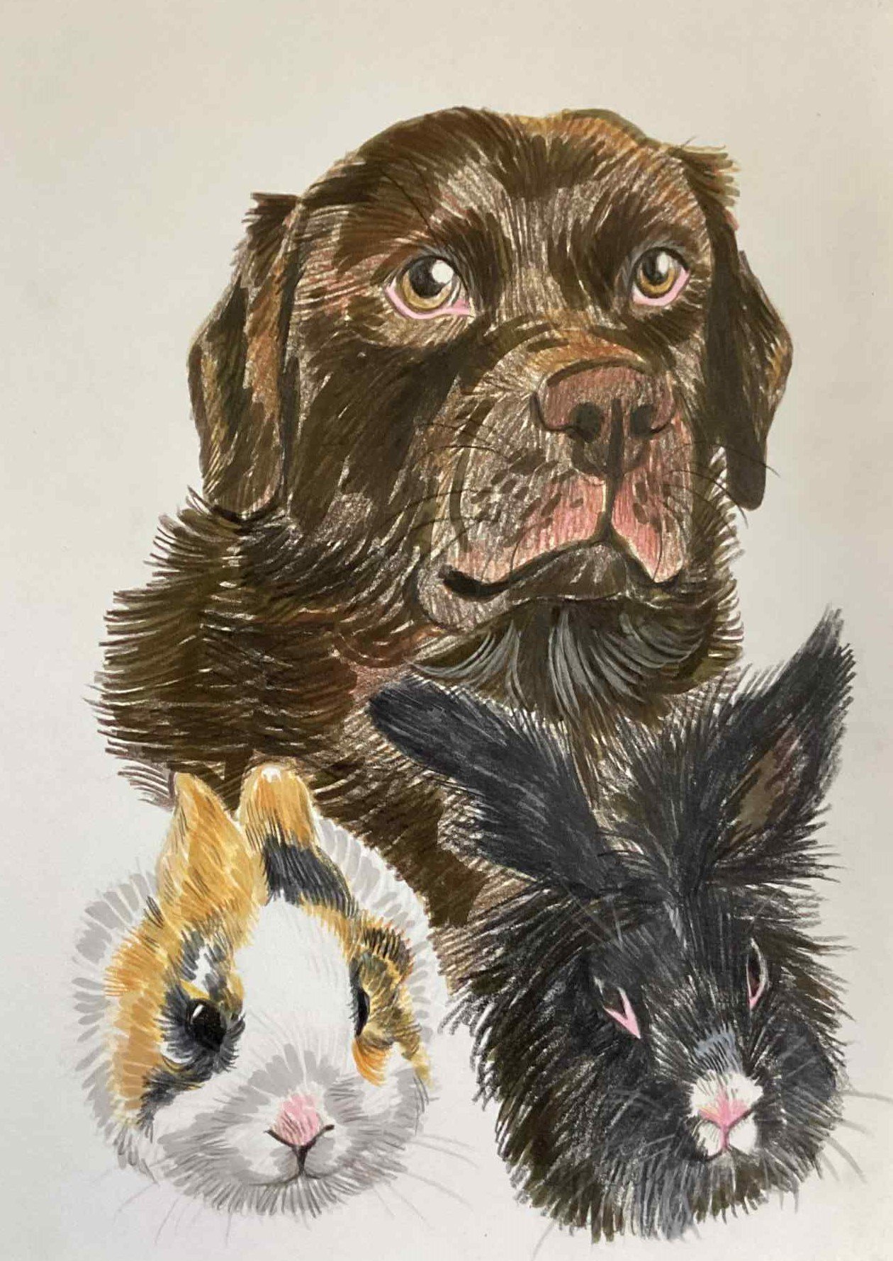 PORTRAIT crayons & feutres A4 (3 animaux)