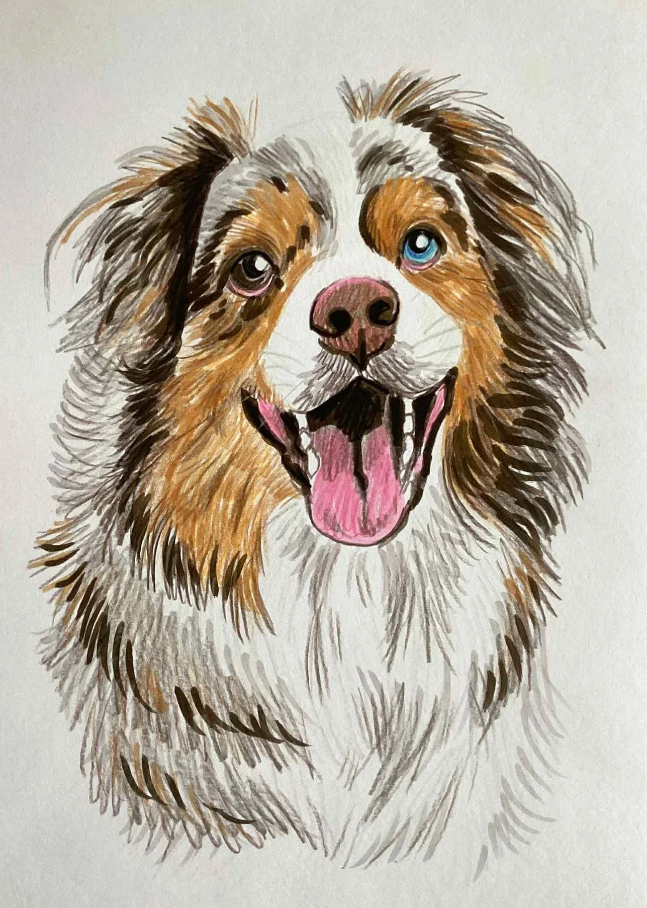 PORTRAIT crayons & feutres A4 (1 animal)