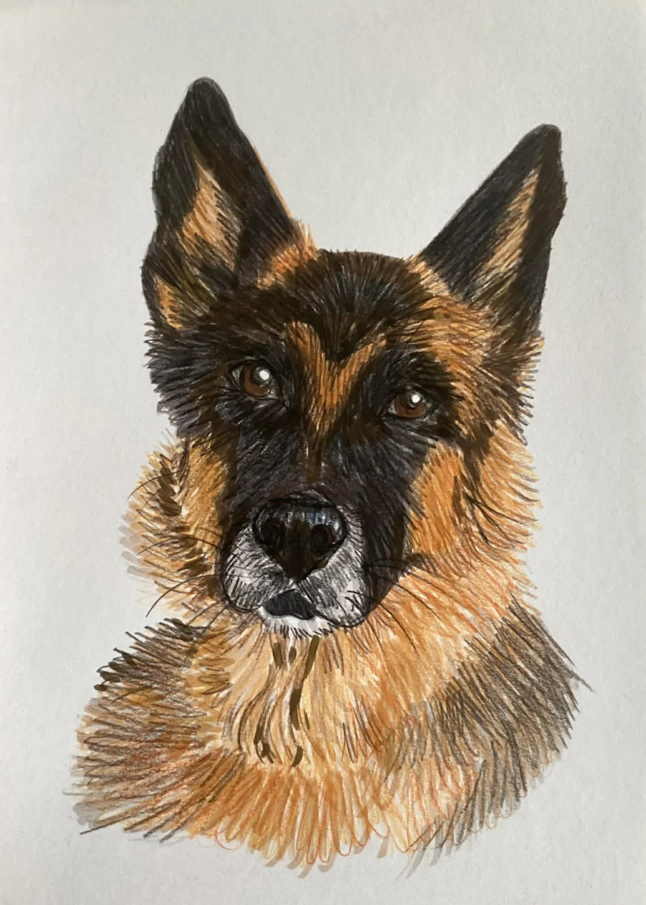 114 - 11fév2026.jpg