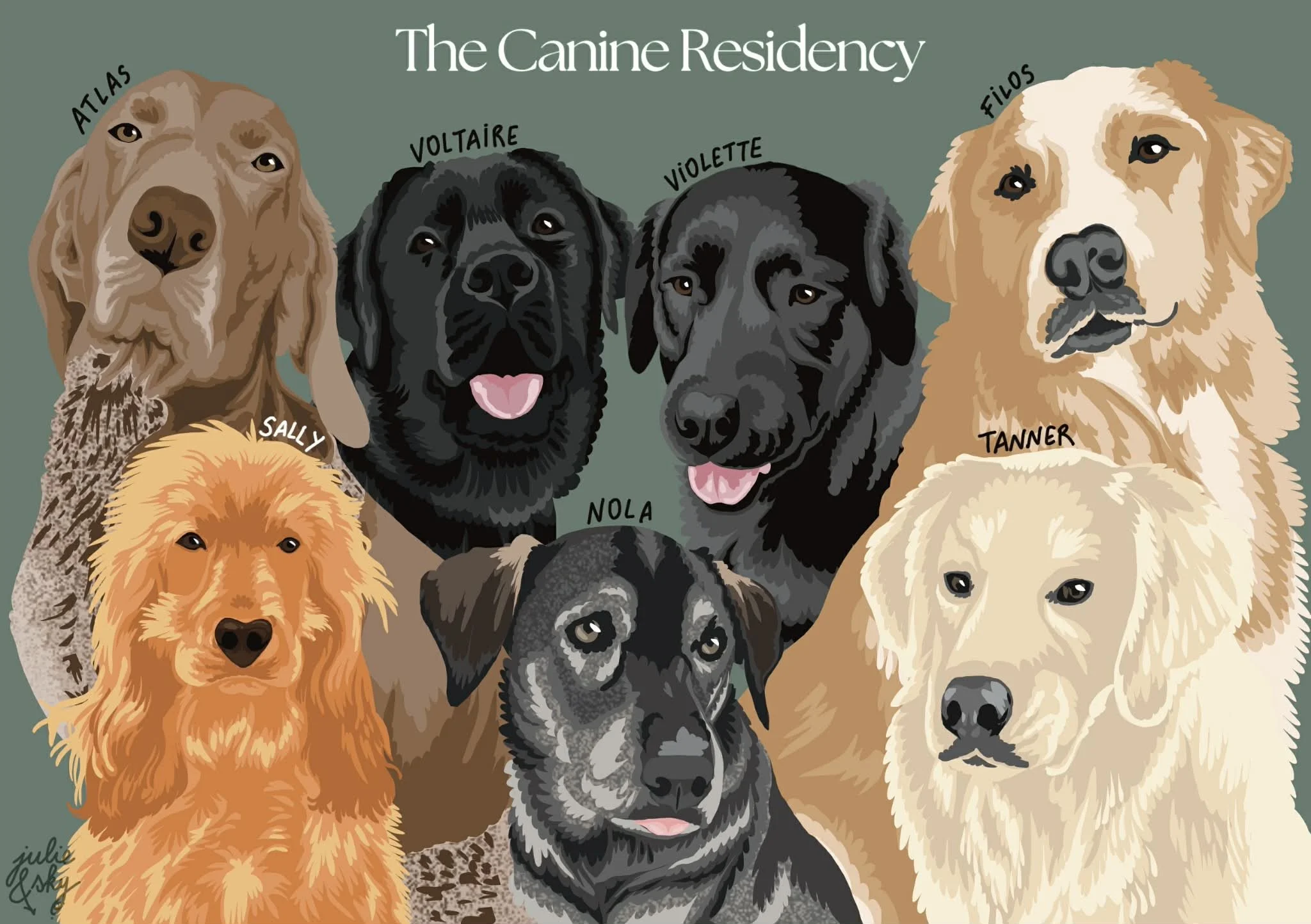 105 - 07fév2026.jfif