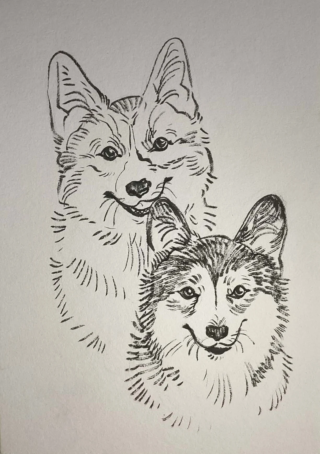 PORTRAIT encre de Chine A5 (2 animaux)