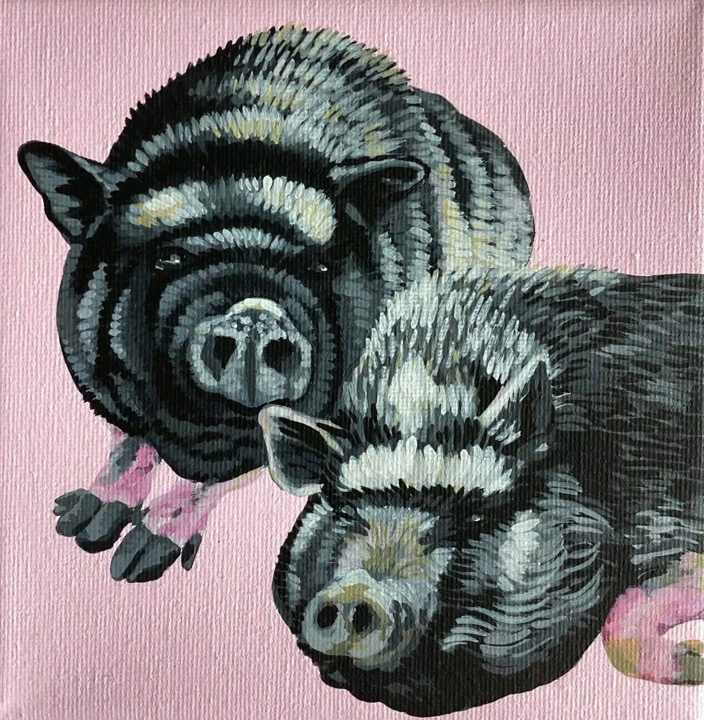 ARTEMIS & RILLETTE
peinture acrylique sur toile petit carré
