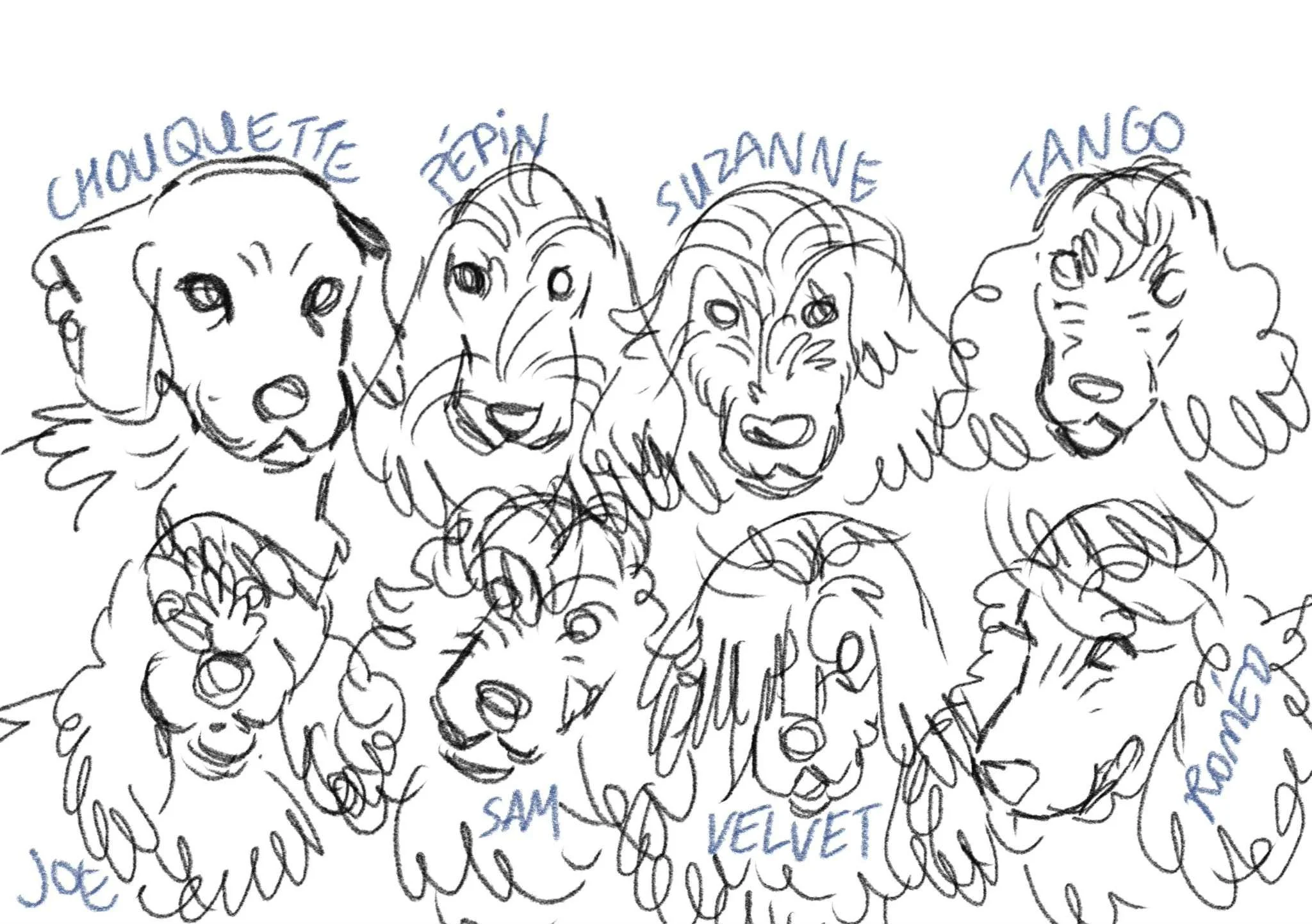 a2310688-7031-4dbd-a9de-bc1274e6fc5e.jfif