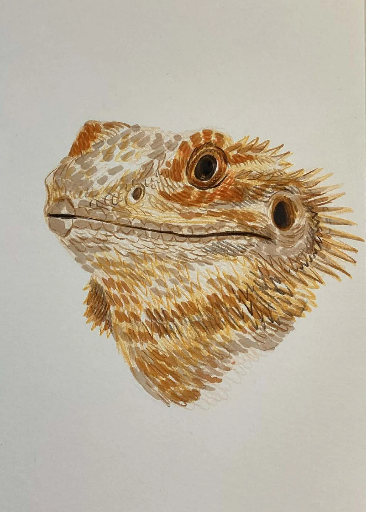 123 - 17fév2026.jpg