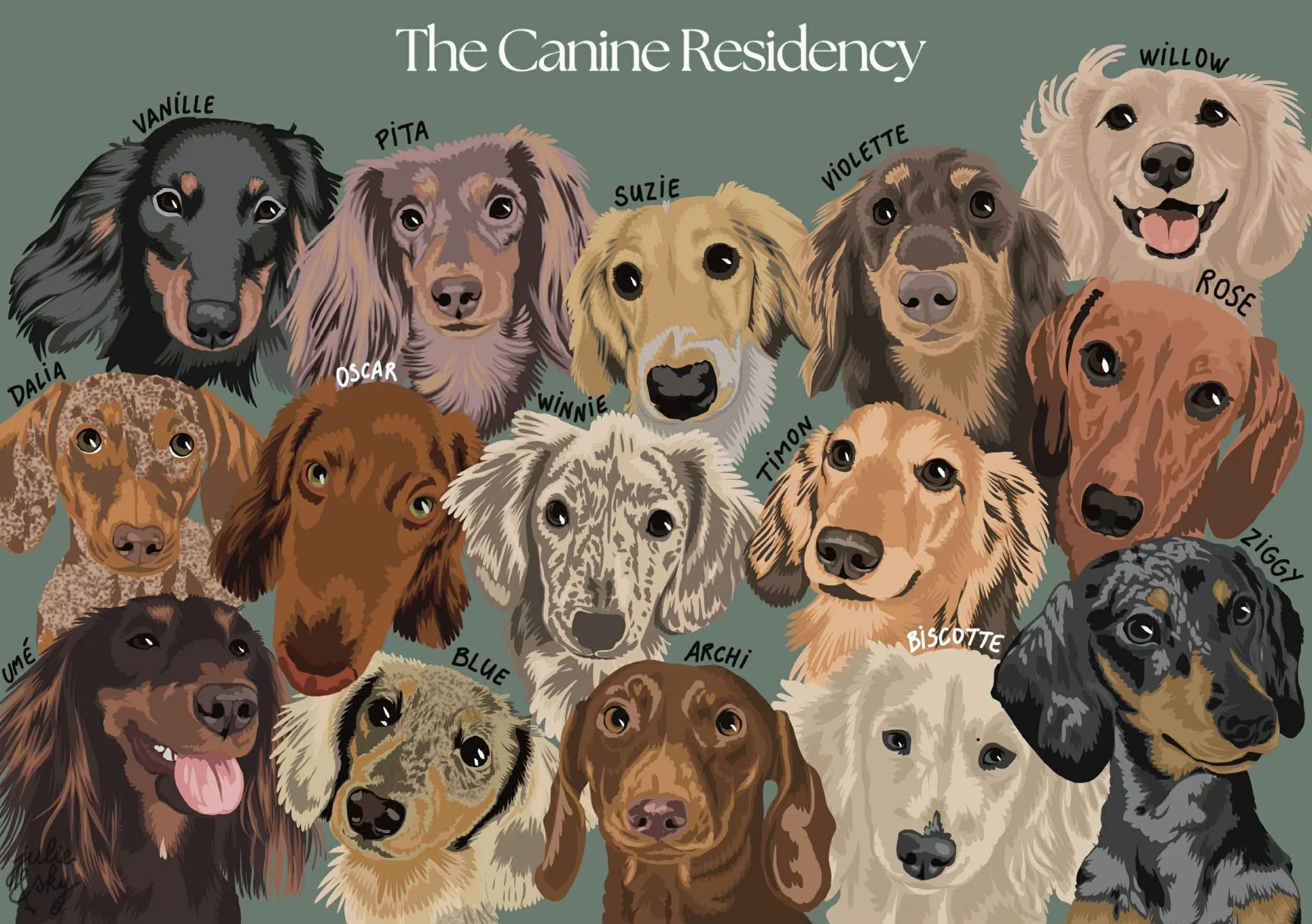 107 - 07fév2026.jfif