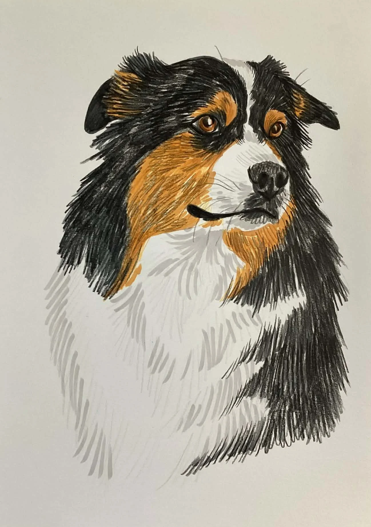 134 - 19fév2026.jpg