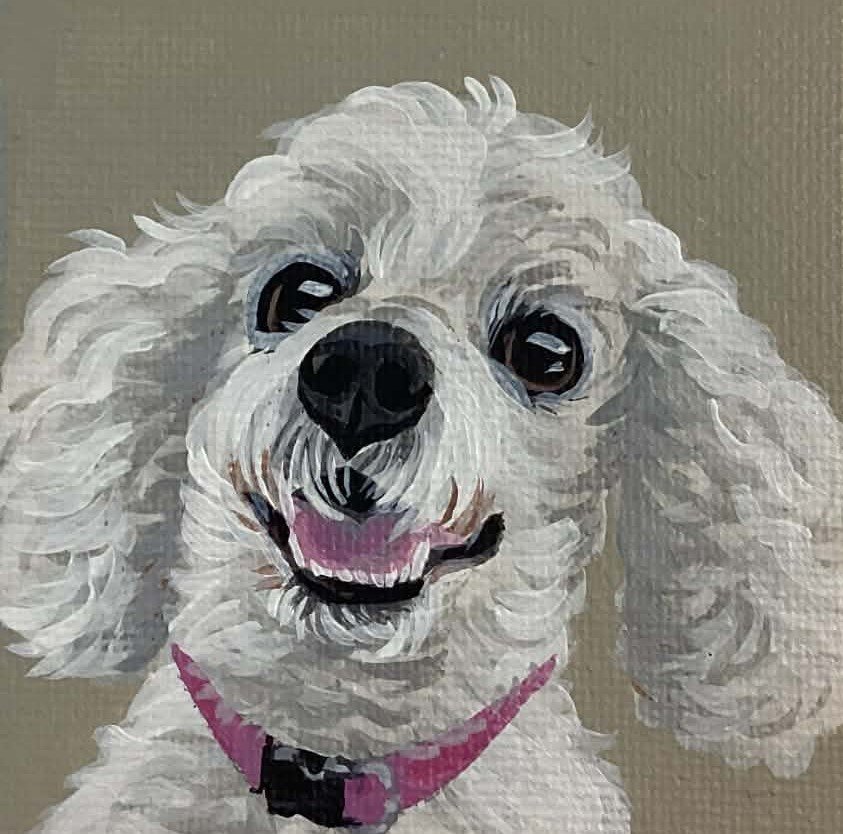 119 - 15fév2026.jpg