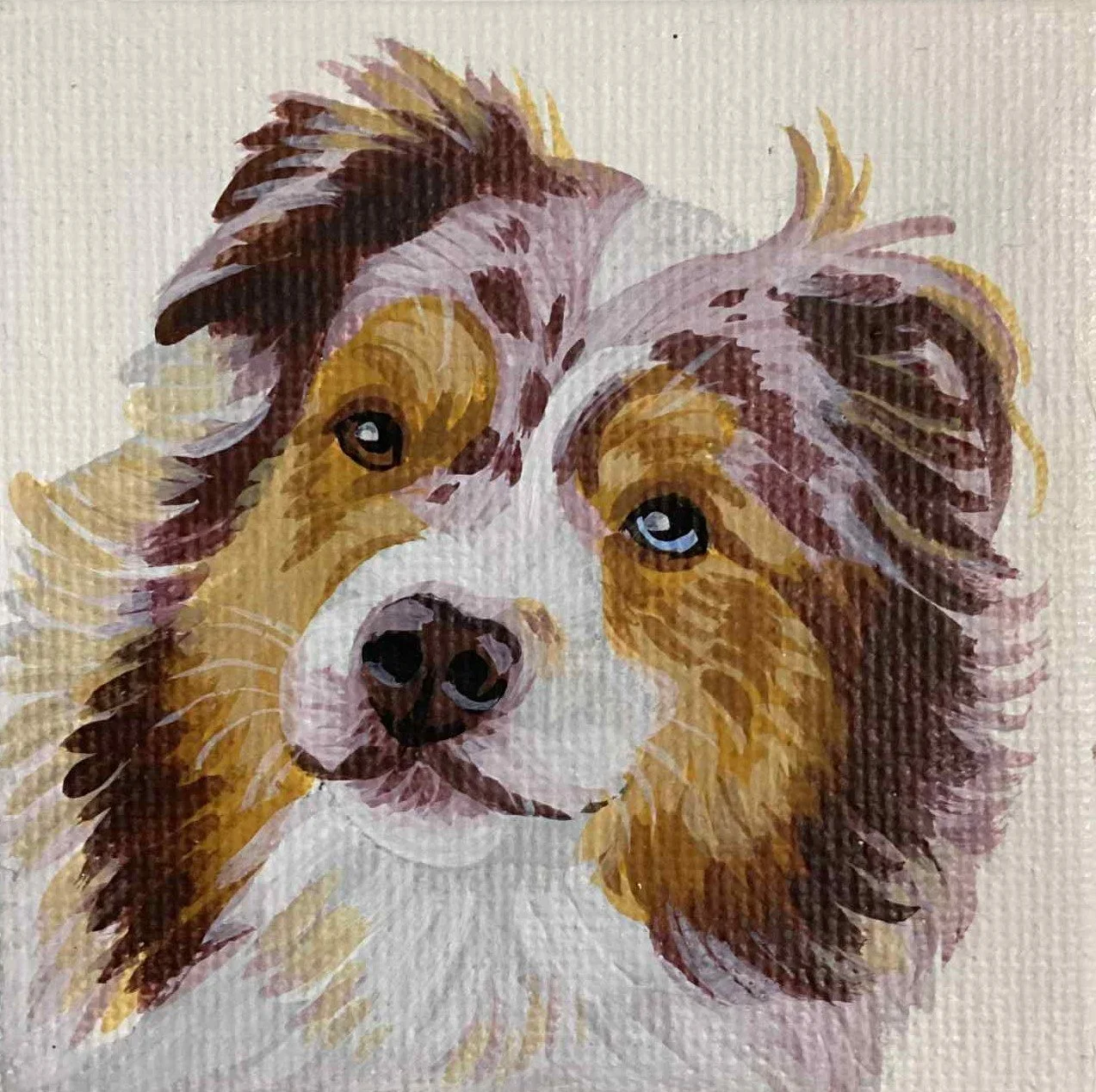 PORTRAIT toile mini carré (1 animal)