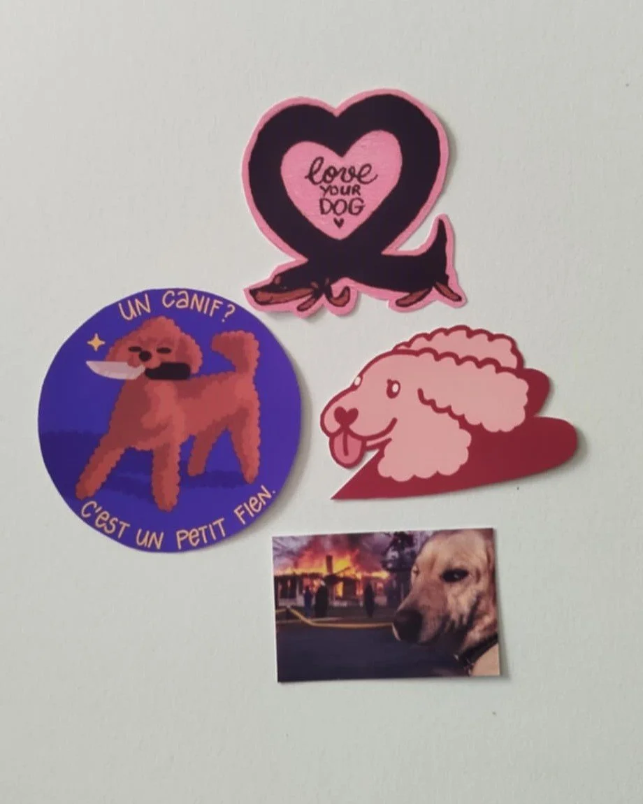 STICKERS pack "mon chien VS les gens"